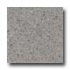 Santa Regina Architectural 24 X 24 (polished) Buff