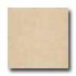 Daltile City View 12 X 24 District Gold Tile  and  Sto