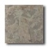 American Olean Earthscapes 6 X 6 Rain Forest Tile & Stone