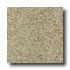Milliken Tesserae Essentials Muslin Carpet Tiles