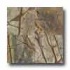 Daltile Marble Polished 12 X 12 Rainforest Green T