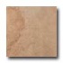 Italgres Buxy 18 X 27 Beige Tile  and  Stone