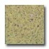 Santa Regina Accent 24 X 24 (polished) Peridot Terrazzo Tile