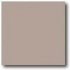 Daltile Natural Hues 2 X 2 Pebble Tile  and  Stone