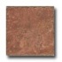 Cerdomus Pietra D Assisi 8 X 8 Rosso Tile  and  Stone