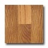 Witex Basis Colonial Oak Laminate Flooring