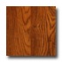Bhk Moderna - Lifestyle Soundguard Cottage Oak Laminate Flooring