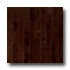 Hartco Sugar Creek Solid Maple Strip Cocoa Brown Hardwood Floori