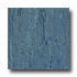 Armstrong Linodur Bristol Blue Vinyl Flooring