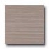 Amtico Standard Linear 12 X 12 Linear Mocha Vinyl Flooring