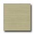 Amtico Standard Linear 12 X 12 Linear Olive Vinyl Flooring