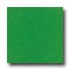 Amtico Standard Stardust 12 X 12 Stardust Grass Vi