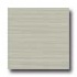 Amtico Standard Linear 12 X 12 Linear Shale Vinyl Flooring