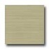 Amtico Linear 12 X 12 Linear Olive Vinyl Flooring