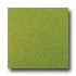 Amtico Standard Stardust 12 X 12 Stardust Kiwi Vin