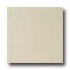 Rex Matouche Eleph Ivoire Eleph Tile & Stone