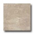 Ergon Tile Alabastro Evo 12 X 12 Natural Rectified Grigio Tile &