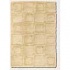 Couristan Focal Point 4 X 6 Balance Ivory Area Rugs