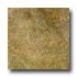 Tilecrest Eddie 6 1/2 X 6 1/2 Beige Tile  and  Stone