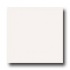 Laufen Bright Glaze 6 X 6 White Tile & Stone