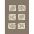 Carpet Art Deco Soft 2 X 6 Passion/taupe-whisper Area Rugs