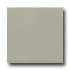 Daltile Semi-gloss 4 1/4 X 4 1/4 Architectural Gray Tile & Stone