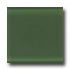 Daltile Glass Reflections 3 X 6 Leafy Green Tile & Stone