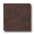 Ergon Tile Alabastro Evo 12 X 12 Natural Rectified Moka Tile & S