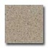 Santa Regina Architectural 16 X 16 (polished) Sand Dollar Terraz