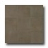 Casa Dolce Casa Clays 16 X 16 Metropolitan Tile  and