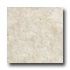 Emser Tile Caracas 6 X 6 Alabaster Tile & Stone