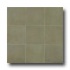 Casa Dolce Casa Clays 16 X 16 Caribbean Tile  and  Sto