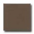 Daltile Semi-gloss 4 1/4 X 4 1/4 Artisan Brown Tile & Stone