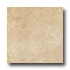 Ergon Tile Green Tech 24 X 24 Rectified Sand Tile & Stone