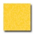 Armstrong Excelon Standard Rave Lemon Lick Vinyl Flooring