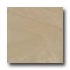 Daltile Era 12 X 24 Polished Trias Tile & Stone