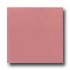 Daltile Semi-gloss 4 1/4 X 4 1/4 Carnation Pink Tile & Stone