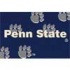 Milliken Penn State 3 X 4 Penn State Area Rugs