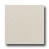 American Olean St Germain 12 X 12 Blanc Tile & Stone