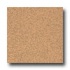 Armstrong Safeguard - Slip Retardant Cinnamon Vinyl Flooring