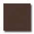 Armstrong Safeguard - Slip Retardant Dark Brown Vinyl Flooring
