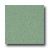 Armstrong Safeguard - Slip Retardant Light Green Vinyl Flooring