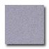 Armstrong Safeguard - Slip Retardant Lilac Vinyl Flooring