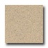 Armstrong Safeguard - Slip Retardant Sand Vinyl Flooring