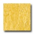 Armstrong Royal Citrus Yellow Vinyl Flooring