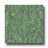 Armstrong Royal Mint Julep Vinyl Flooring