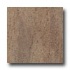 Armstrong Earthcuts 12 X 12 Roma Stone Noce Vinyl