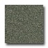 Armstrong Arteffects Premium Excelon Mezzo Green Vinyl Flooring