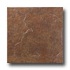 United States Ceramic Tile Avalon 16 X 16 Umber Ti