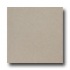 United States Ceramic Tile Color Collection 12 X 12 Speckle Beig